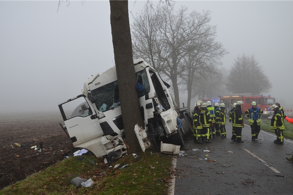 Gullelaster Prallt Gegen Einen Baum