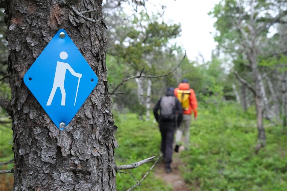  Ab der Sawyer-Bucht sind nur noch rund 1,5 Kilometer und 200 Höhenmeter bis zum Aussichtspunkt.Christoph Jänsch/dpa-tmn