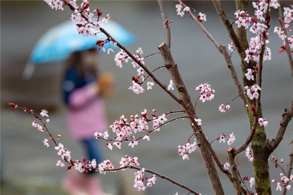  Am Ostersonntag sollen es bis zu 20 Grad werden. (Symbolbild)Benjamin Westhoff/dpa