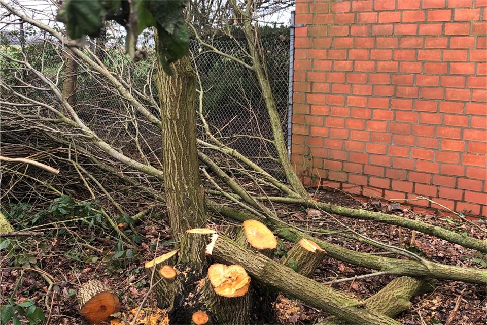  Auch auf dem Gelände des Pumpwerks war die Kettensäge schon im Einsatz.