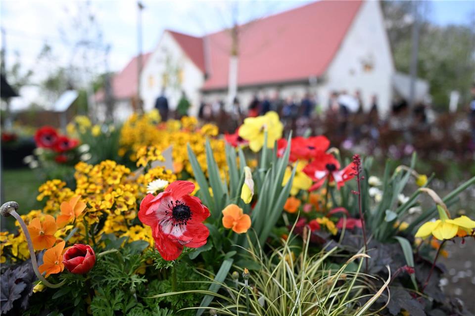  Auf dem ehemaligen Gelände der Pferderennbahn ist ein neuer Stadtpark entstanden. Federico Gambarini/dpa