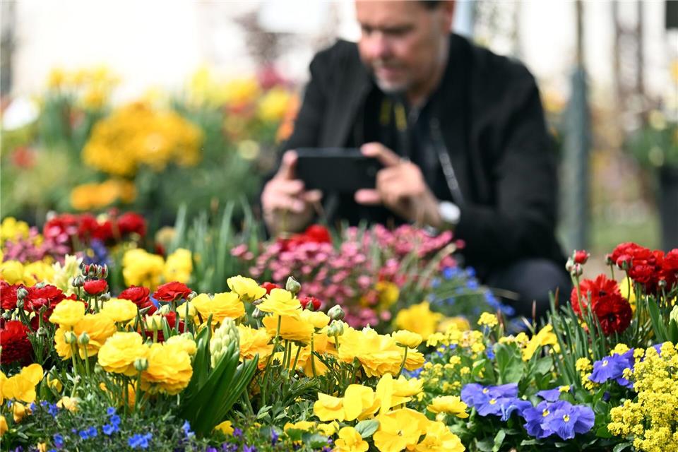  Auf über 20.000 Quadratmetern soll es blühen. Federico Gambarini/dpa