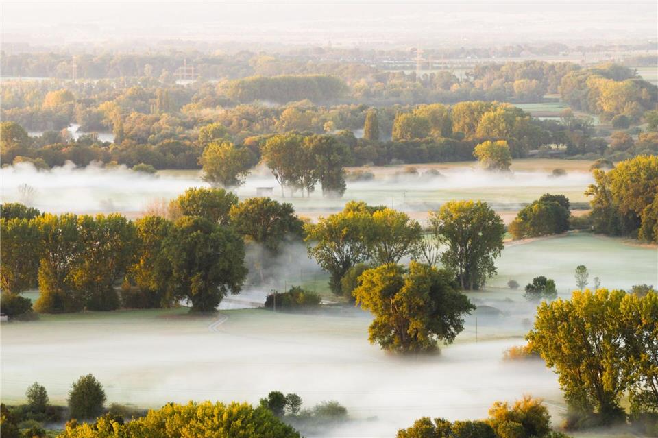  Bäume im Nebel: Dichte Nebelschwaden ziehen bei Sonnenaufgang durch die Leinemasch in der Region Hannover.Julian Stratenschulte/dpa