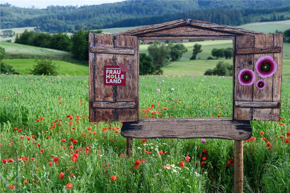  Der ADAC empfiehlt abwechslungsreiche Touren für Biker – inklusive Tipps zur Mohnblüte und historischen Fachwerkorten. (Archivbild)Swen Pförtner/dpa