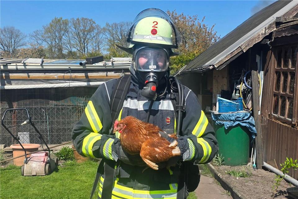  Die Einsatzkräfte in Celle retteten mehrere Hühner vor den Flammen.Feuerwehr Celle