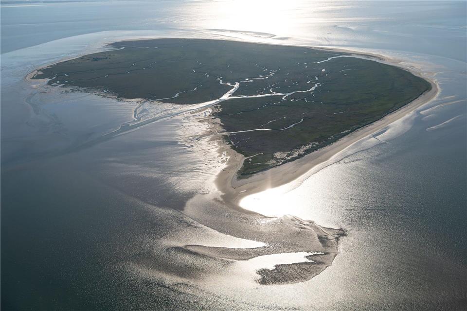  Die Insel Mellum liegt weit vor der niedersächsischen Küste.Sina Schuldt/dpa