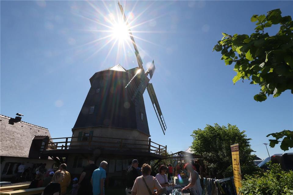  Die Knapp Mühle, eine Achtkant-Galerieholländer-Windmühle, öffnete zum Deutschen Mühlentag ihre Türen.Bodo Schackow/dpa