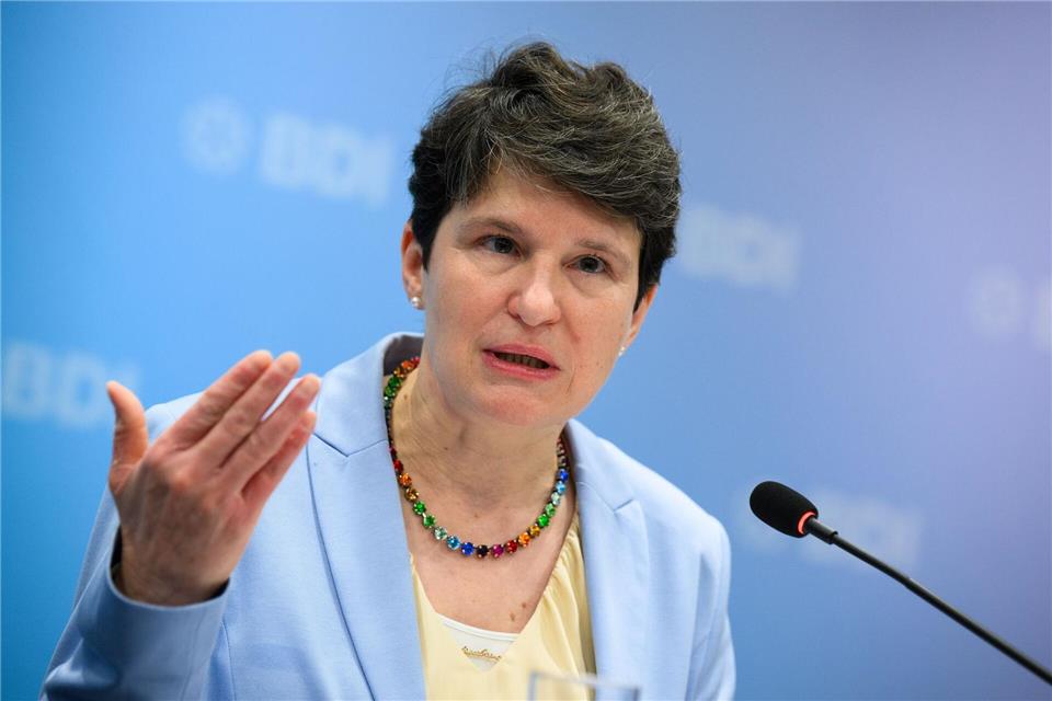  „Die Staats- und Regierungschefs müssen alles dafür tun, damit Mercosur im Januar abgeschlossen wird“, so Gönner. (Archivbild)Bernd von Jutrczenka/dpa