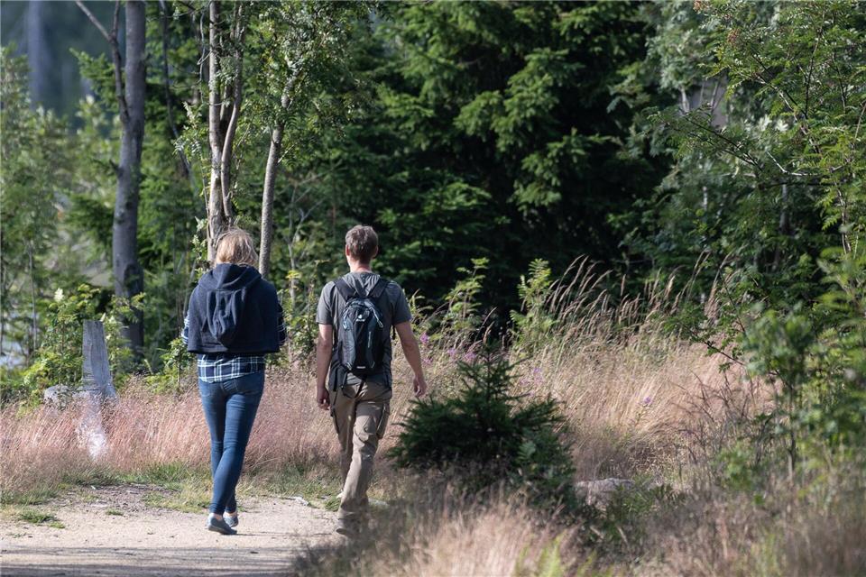  Gute Wetterprognosen im Harz bedeuten mehr Buchungen. (Archivbild) Swen Pförtner/dpa