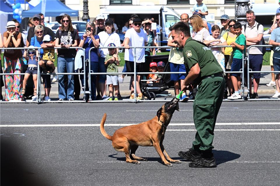  Hundeführer zeigten mit ihren Hunden ihr Können. Felix Hörhager/dpa
