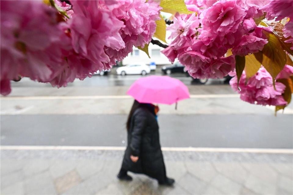  Im April verzeichneten Berlin und Brandenburg überdurchschnittlich viel Niederschlag - aber auch die Sonne schien viele Stunden. Sebastian Gollnow/dpa