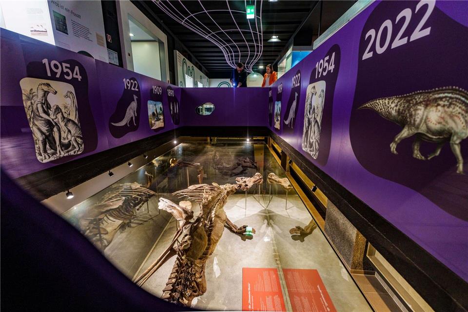  Im Mittelpunkt steht der Pflanzenfresser Edmontosaurus.Andreas Arnold/dpa