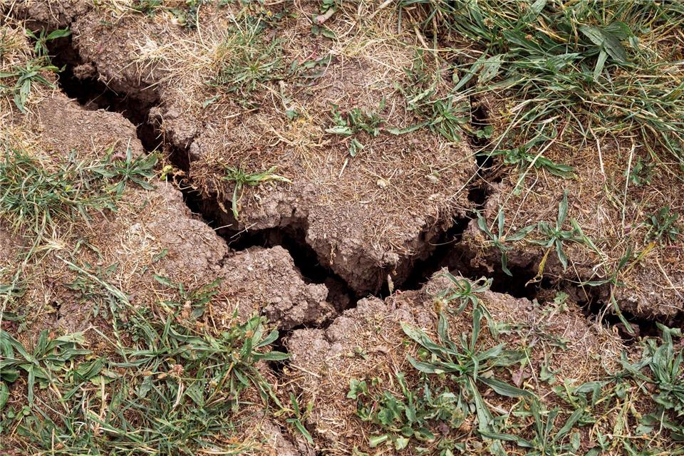  In den Thüringer Gewässern kam es 2025 häufiger zu Niedrigwasserphasen als im Vorjahr. (Symbolbild)Daniel Vogl/dpa