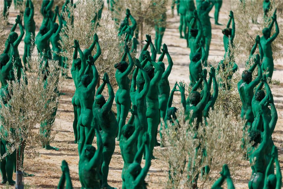 Bilder des Tages Kunstinstallation im OlivenhainÁlex Cámara/EUROPA PRESS/dpa