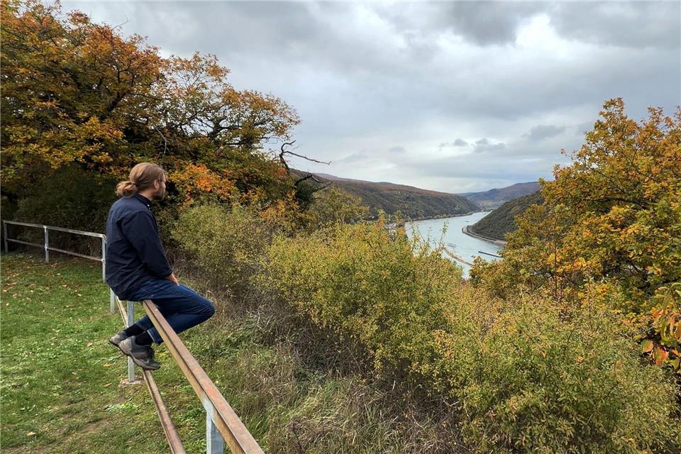 Platzmangel in Männerschutzhäusern – Bedarf steigt deutlich   Laut dem Lagebild zur häuslichen Gewalt des Bundeskriminalamts (BKA) waren vergangenes Jahr rund 70 Prozent der Betroffenen weiblich und gut 30 Prozent männlich.Andreas Arnold/dpa