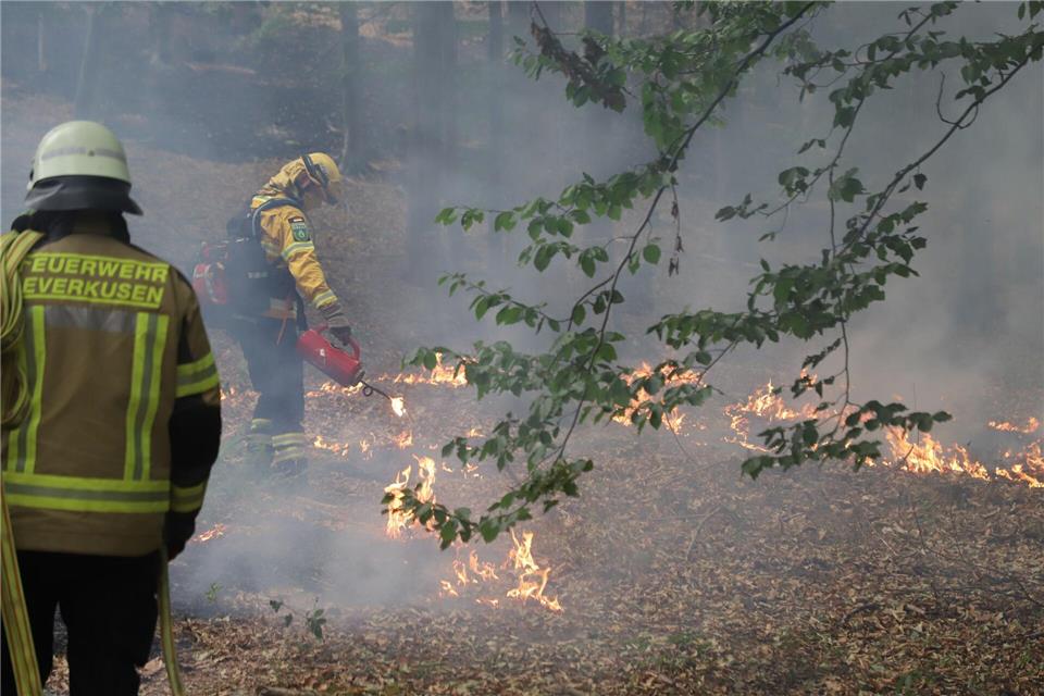  Mehrere Hundert Hektar Waldfläche stehen in Flammen.Sascha Thelen/dpa
