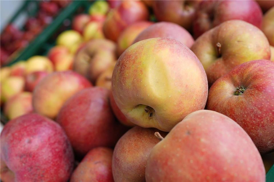  Mit der Teilnahme an dem Programm soll eine gesunde Ernährung gefördert werden. (Symbolbild)Marcus Brandt/dpa