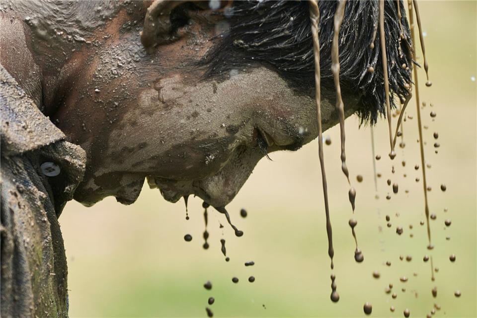 Reispflanzfest in NepalNiranjan Shrestha/AP/dpa