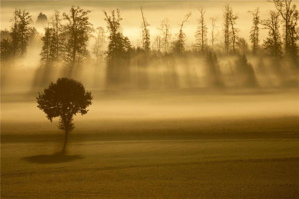 Bilder des Tages  Sonnenstrahlen und Nebel am Morgen in Baden-Württemberg.Thomas Warnack/dpa