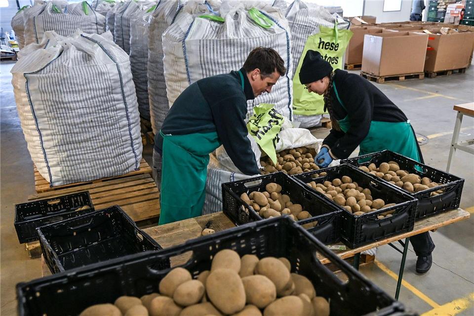 1.000 Kilo war die Mindestabnahmemenge. Jens Kalaene/dpa