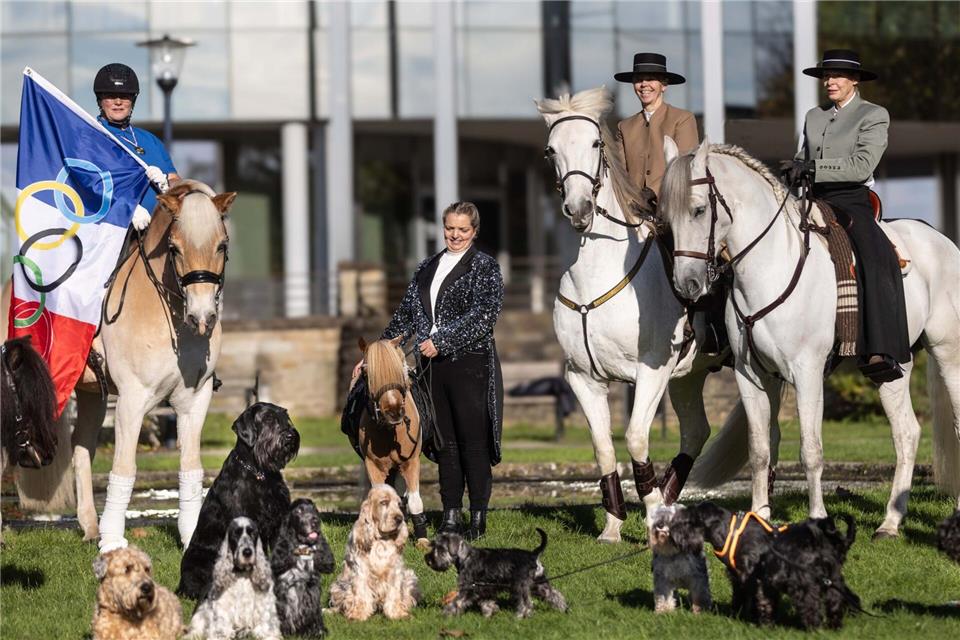 Messe „Hund & Pferd“ mit Shows und Dog Dancing 10.000 Hunde und über 250 Pferde werden auf der „Hund & Pferd“ in der Dortmunder Westfalenhalle zu sehen sein.Dieter Menne/dpa
