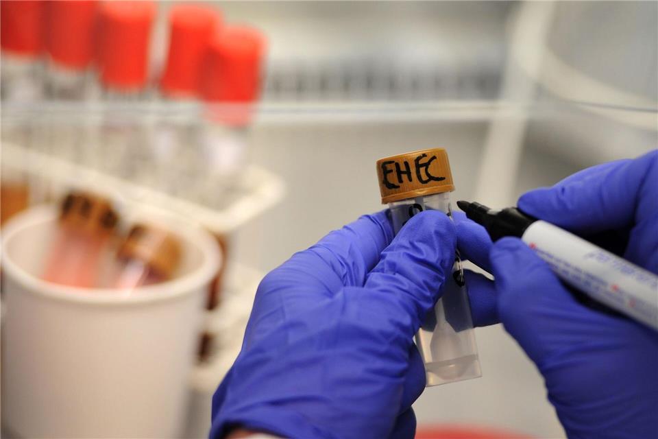 Zunahme von Ehec-Fällen in Thüringen 135 Ehec-Fälle bis Ende August – so viele wie nie. Das Gesundheitsamt prüft einen Verdacht in einem Pflegeheim. (Symbolbild)Christian Charisius/dpa