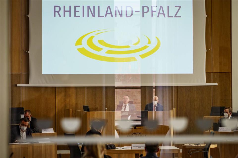 14 Fachausschüsse wird es im neuen rheinland-pfälzischen Landtag geben. (Archivfoto)Frank Rumpenhorst/dpa