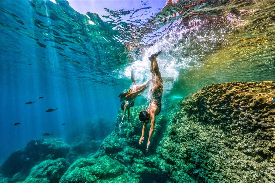 15 Schnorchel-Tauchspots vor der Küste Istriens lassen die maritime Artenvielfalt an der kroatischen Adriaküste erleben.Anton Unkovic/TB Istria/dpa-tmn