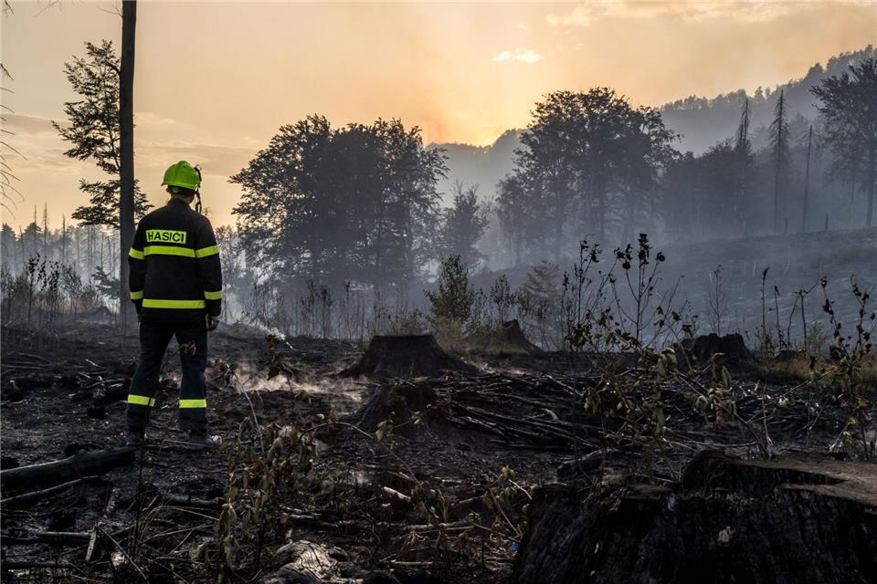 2022 wütete ein heftiger Waldbrand im Grenzland zwischen Sachsen und Tschechien. (Archivbild)Hájek Vojtìch/CTK/dpa