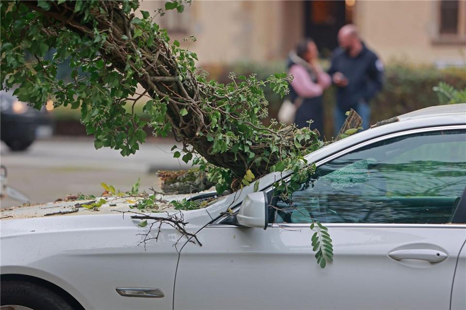 2025 gab es in Sachsen-Anhalt deutlich weniger Unwetterschäden als im Vorjahr. (Archivbild) Matthias Bein/dpa