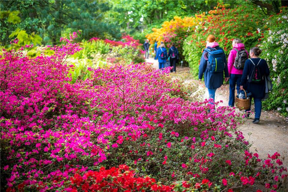 2032 soll die Landesgartenschau wieder im Park der Gärten in Bad Zwischenahn öffnen. (Archivbild)Sina Schuldt/dpa