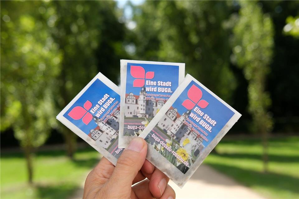 2035 soll in Dessau-Roßlau die Bundesgartenschau veranstaltet werden. (Archivbild)Sebastian Willnow/dpa