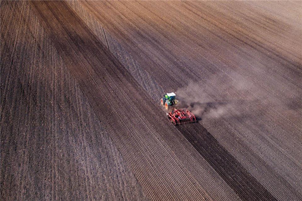 25.000 Menschen arbeiten in MV in der Landwirtschaft. Jens Büttner/dpa
