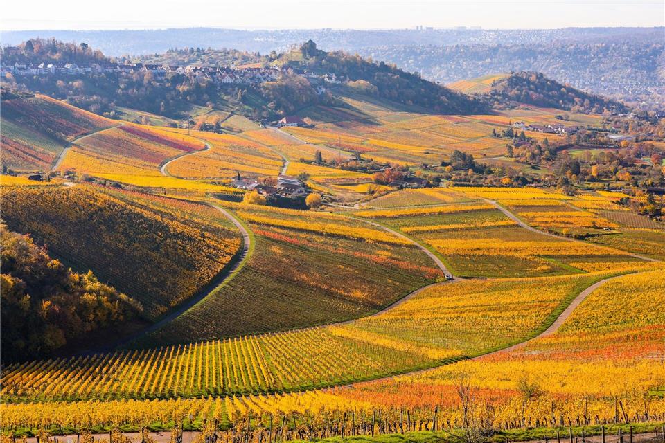 325 Stunden schien die Sonne im Herbst in Baden-Württemberg. (Archivbild)Christoph Schmidt/dpa