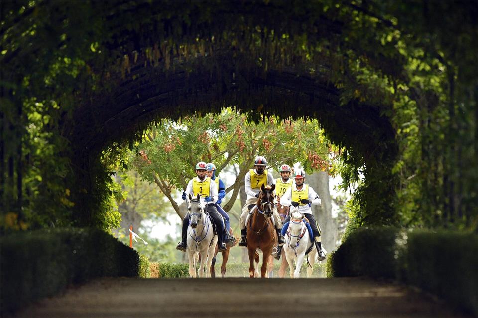 36 Kilometer, 54 Kilometer und 72 Kilometer stehen beim Hohe-Mark-Distanzritt zur Wahl.
