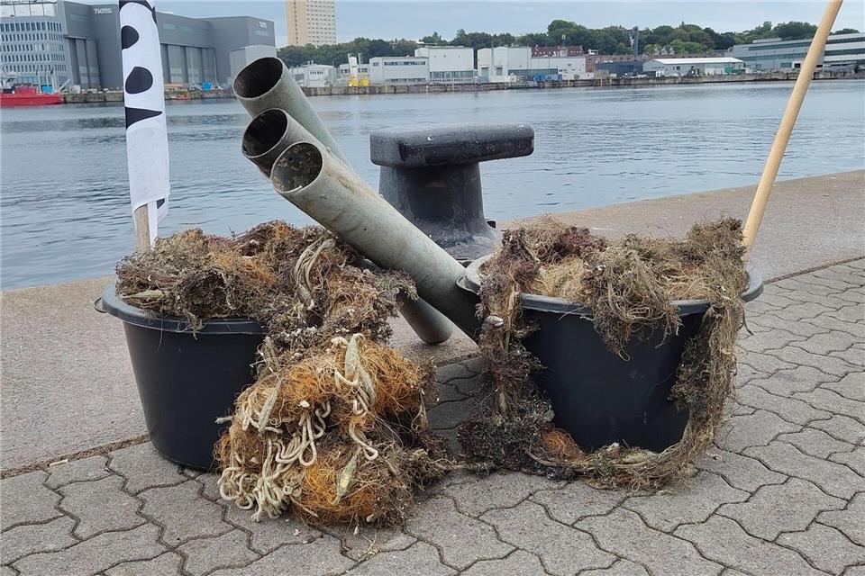 41 verloren gegangene Fischereigeräte wurden im Rahmen des Pilotprojektes geborgen - ein Teil wurde an der Kieler Förde präsentiert.Felix Müschen/dpa