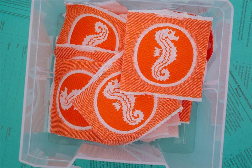 552 Mal wurde 2025 das Seepferdchen an junge Schwimm-Lehrlinge vergeben. (Symbolbild)Peter Kneffel/dpa