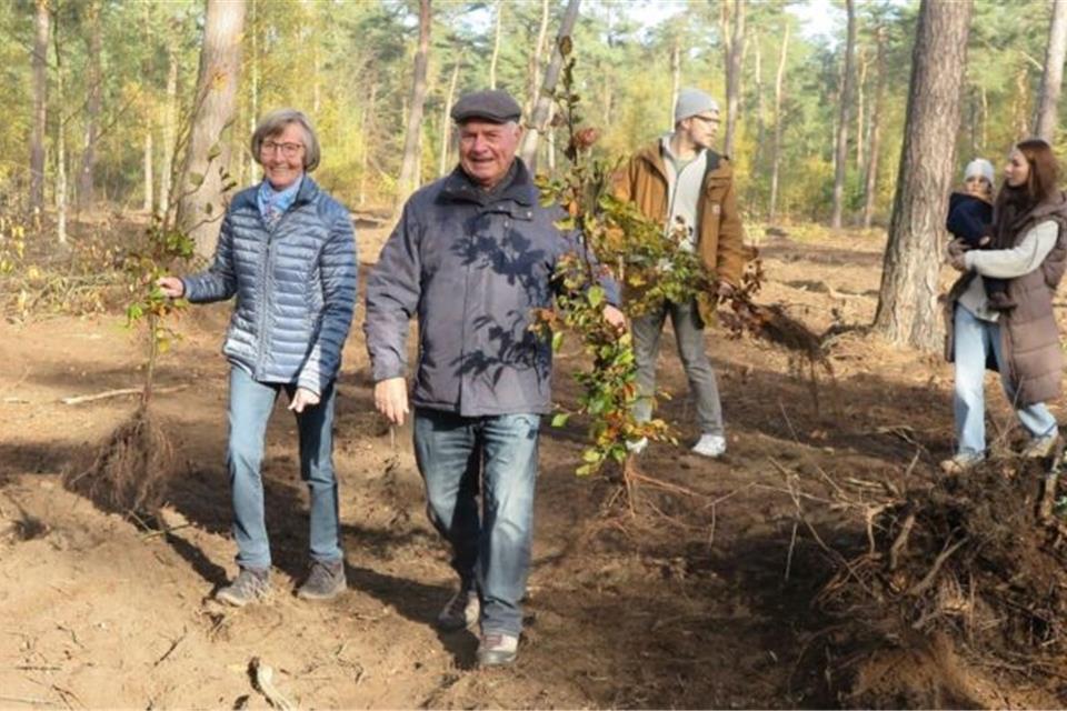 600 Bäumchen haben die rund 300 Teilnehmer einer Pflanzaktion in der Rüster Mark gesetzt.