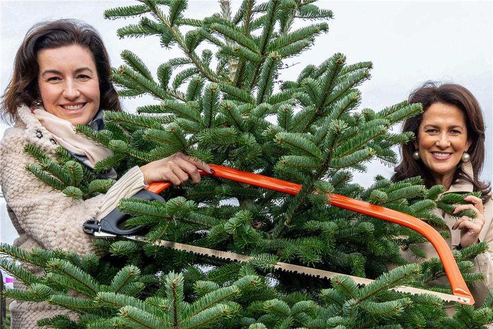 80 Prozent der vier Millionen in Bayern verkauften Christbäume werden im Freistaat angebaut. Die CSU-Politikerinnen Dorothee Bär und Michaela Kaniber (rechts) eröffneten die Saison. Pia Bayer/dpa