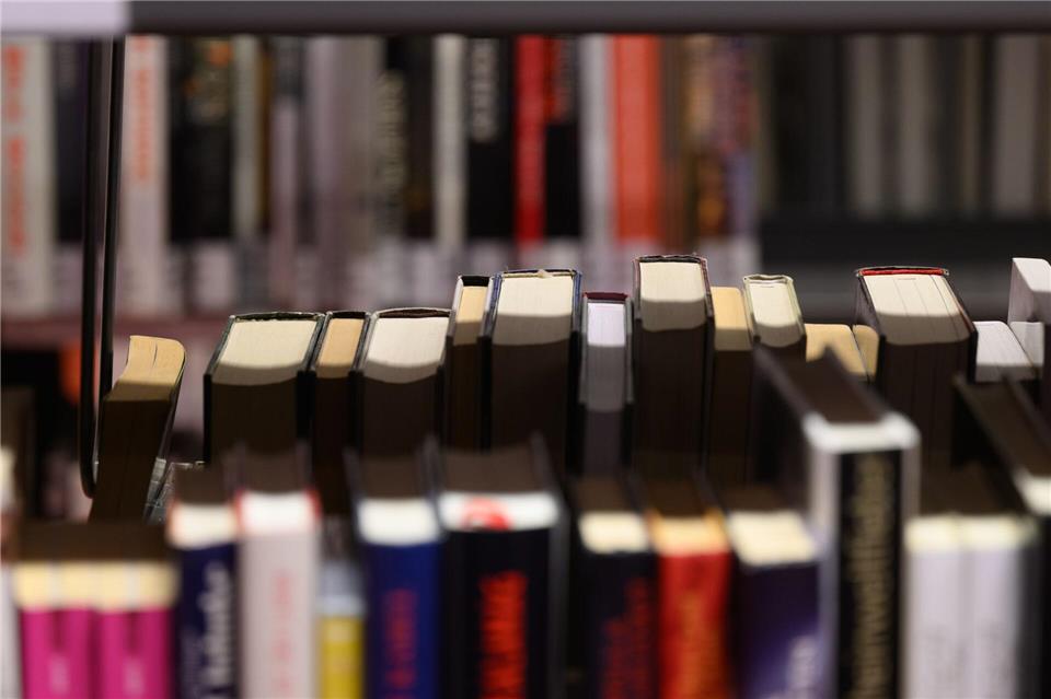 90 Bibliotheken in ganz Sachsen halten im Rahmen des Buchsommers eine Auswahl an Büchern für Jugendliche bereit. (Archivbild)Robert Michael/dpa
