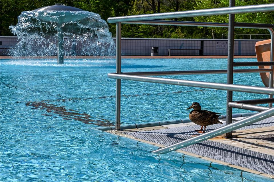 Ab Freitag können Wasserratten in die Becken des „Prinzenbads“ in Kreuzberg springen.Jens Kalaene/dpa