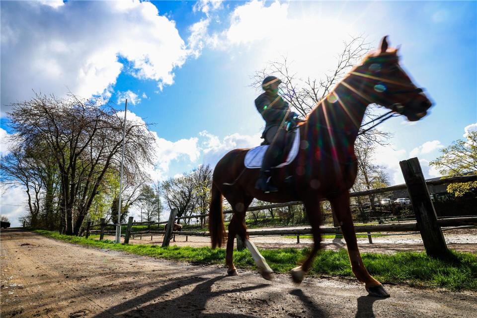 Ab Montag soll das Wetter wechselhaft werden.Christoph Reichwein/dpa