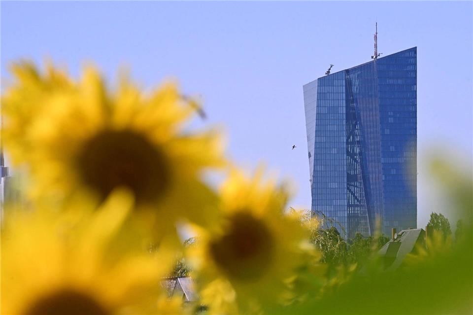 Ab Samstagmittag wird es wieder heiß und sonnig in Hessen.Jennifer Brückner/dpa