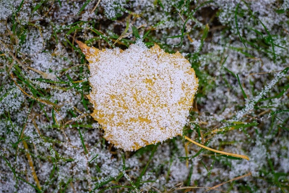 Ab Sonntagabend ist vor allem im Osten mit Schnee zu rechnen. (Symbolbild)Patrick Pleul/dpa