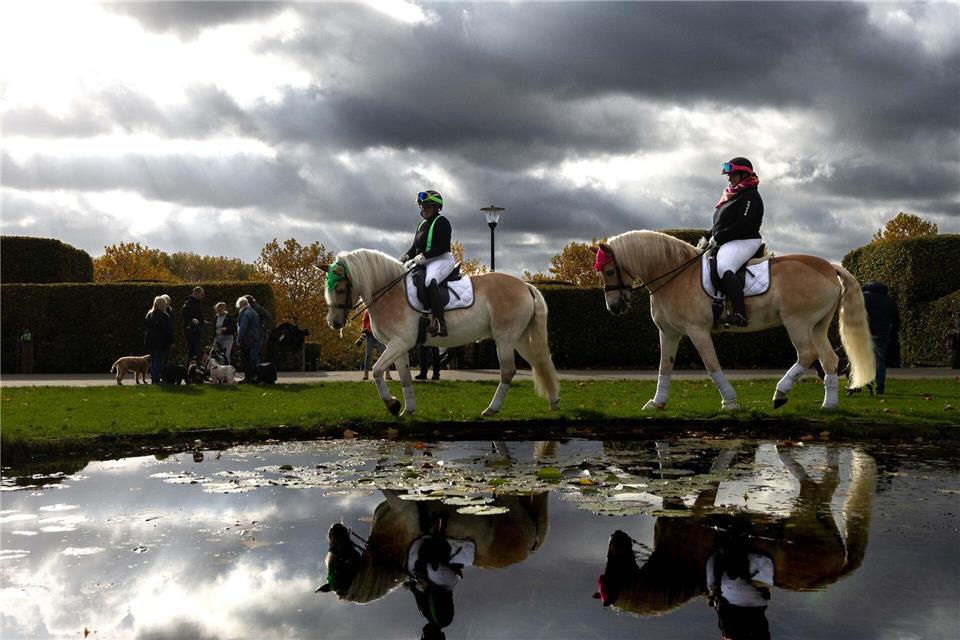 Hunden und Pferden gehört Bühne - Wettbewerb im Dog Dancing  Ab dem 7. November werden rund 60.000 Besucherinnen und Besucher erwartet.Dieter Menne/dpa