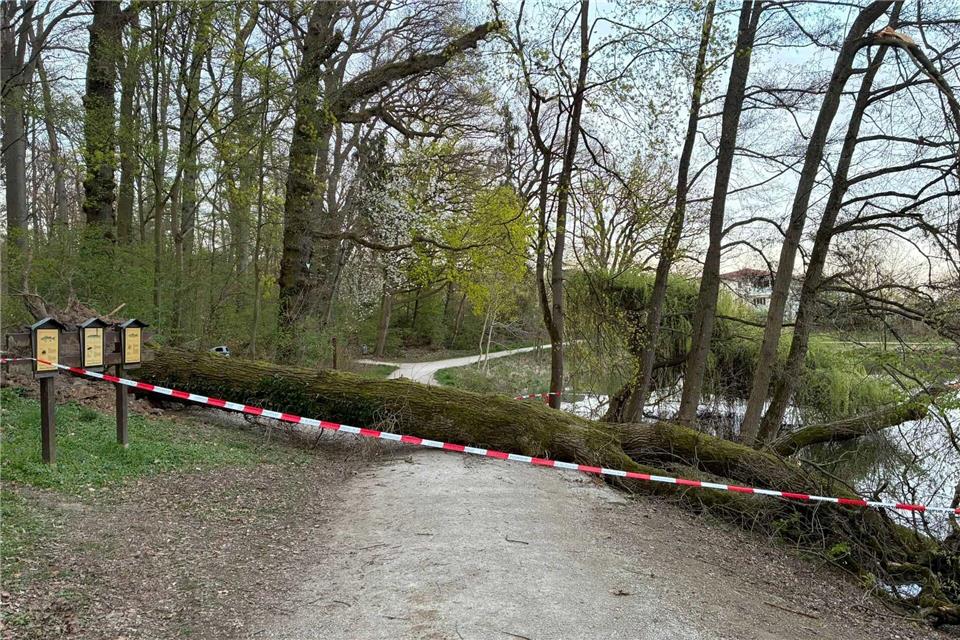 Absperrungen sollte man ernst nehmen, rät der Landesbetrieb Hessen Forst.Carolin Eckenfels/dpa