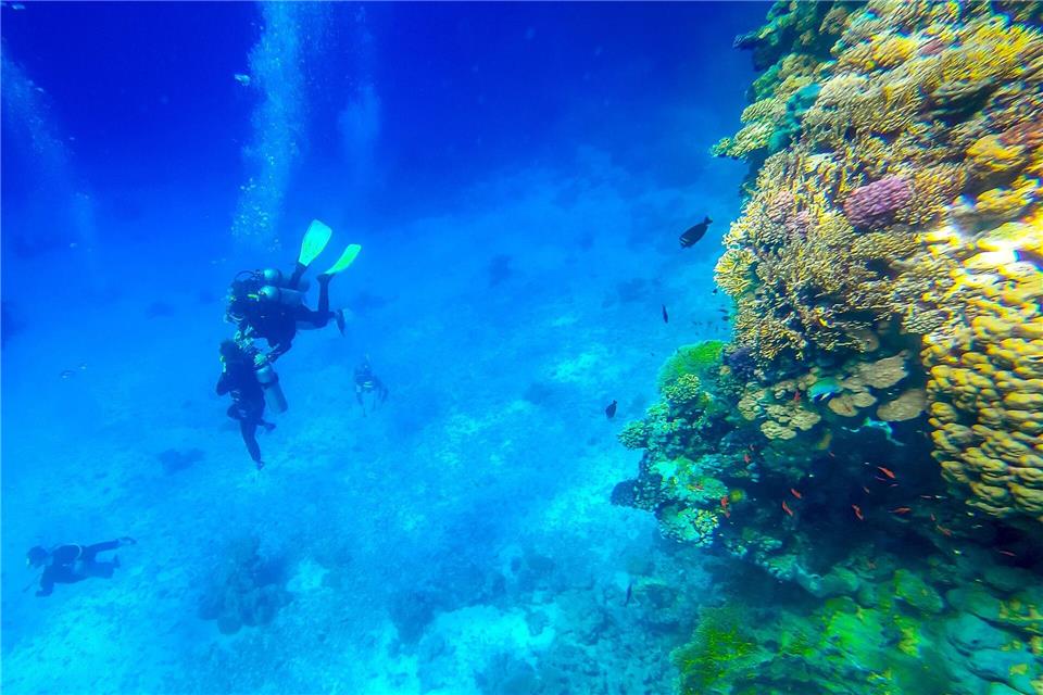 Abtauchen in die bunte Korallenwelt: Das geht im Roten Meer vor Ägypten.picture alliance / dpa Themendienst