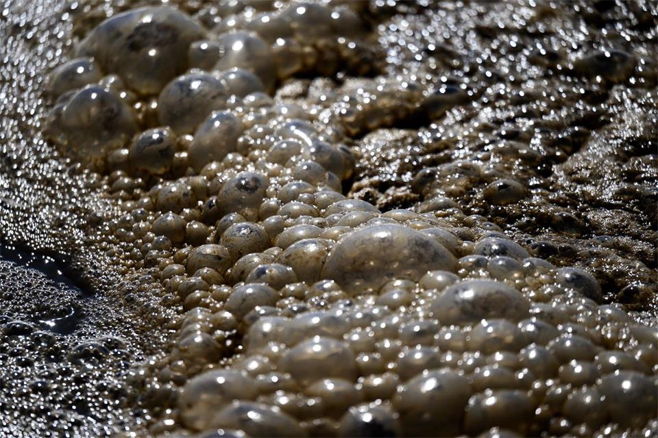 Abwasser in einer Kläranlage - wie können Kläranlagen klimaneutral werden? (Symbolbild)Hendrik Schmidt/dpa