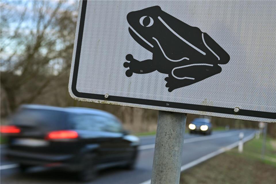 Achtung Amphibien! Bald gehen die kleinen Wesen wieder auf Wanderschaft. (Symbolbild)Patrick Pleul/dpa