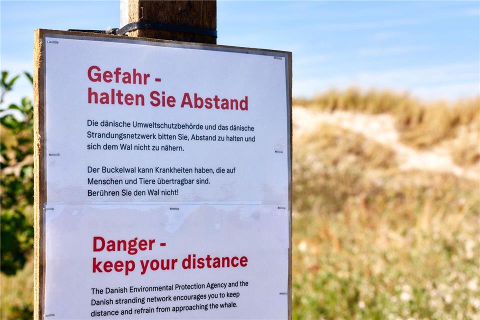 Achtung, Ansteckungsgefahr! Die Behörden klären auf Deutsch auf. Marcus Golejewski/dpa